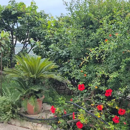 Casa Verga